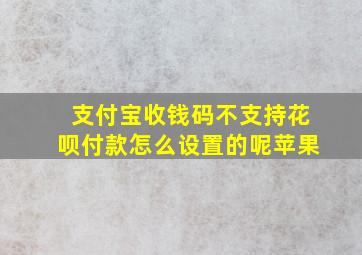 支付宝收钱码不支持花呗付款怎么设置的呢苹果