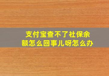 支付宝查不了社保余额怎么回事儿呀怎么办