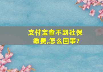 支付宝查不到社保缴费,怎么回事?