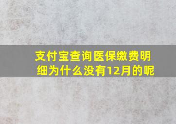 支付宝查询医保缴费明细为什么没有12月的呢