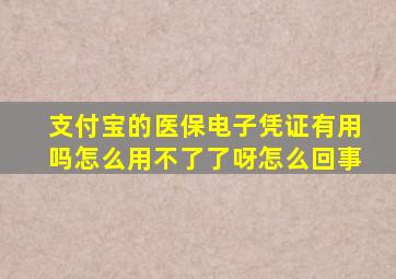 支付宝的医保电子凭证有用吗怎么用不了了呀怎么回事