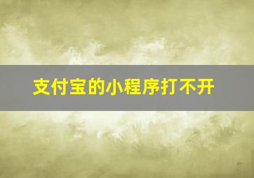 支付宝的小程序打不开