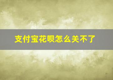 支付宝花呗怎么关不了