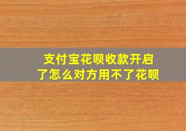 支付宝花呗收款开启了怎么对方用不了花呗