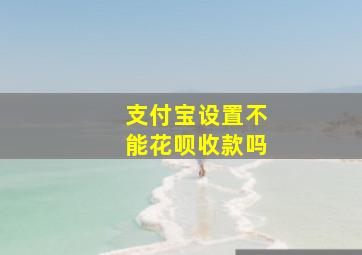 支付宝设置不能花呗收款吗