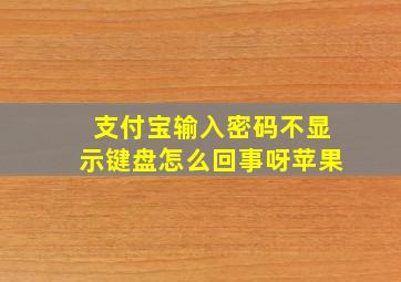 支付宝输入密码不显示键盘怎么回事呀苹果