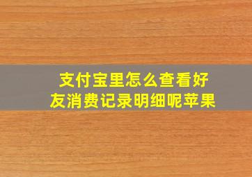 支付宝里怎么查看好友消费记录明细呢苹果