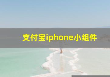 支付宝iphone小组件