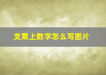 支票上数字怎么写图片