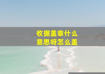 收据盖章什么意思呀怎么盖