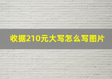 收据210元大写怎么写图片