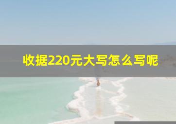 收据220元大写怎么写呢