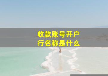 收款账号开户行名称是什么