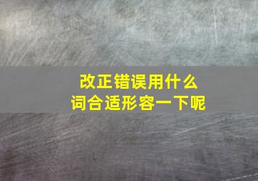 改正错误用什么词合适形容一下呢