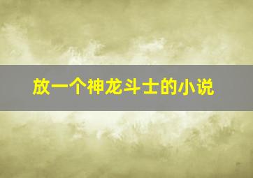 放一个神龙斗士的小说