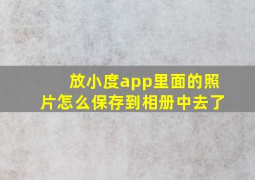 放小度app里面的照片怎么保存到相册中去了