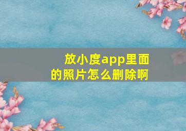 放小度app里面的照片怎么删除啊