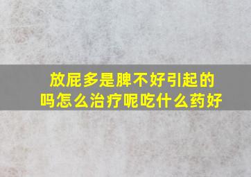 放屁多是脾不好引起的吗怎么治疗呢吃什么药好