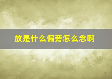 放是什么偏旁怎么念啊