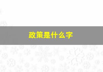 政策是什么字