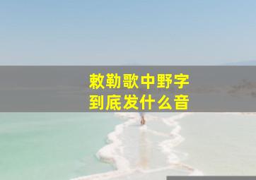 敕勒歌中野字到底发什么音