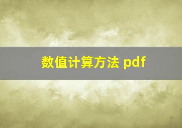 数值计算方法 pdf