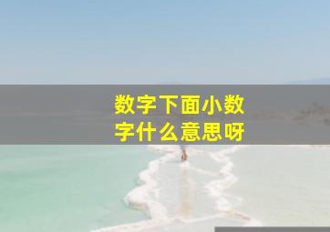 数字下面小数字什么意思呀