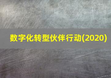 数字化转型伙伴行动(2020)