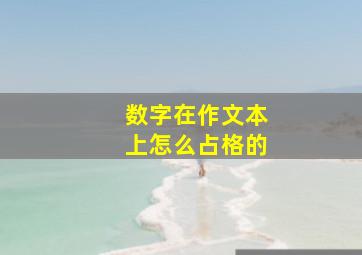 数字在作文本上怎么占格的