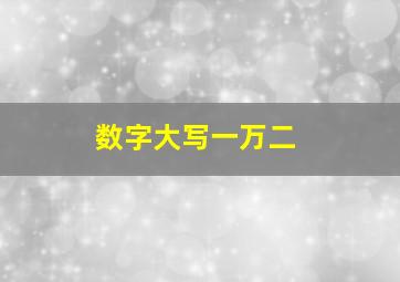 数字大写一万二