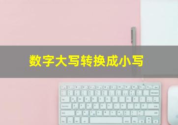 数字大写转换成小写