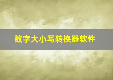 数字大小写转换器软件