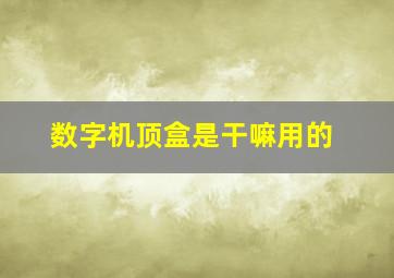 数字机顶盒是干嘛用的