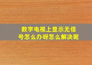 数字电视上显示无信号怎么办呀怎么解决呢