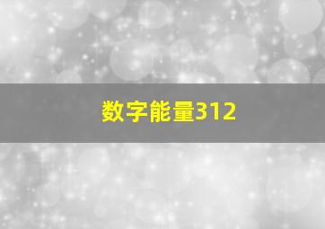 数字能量312