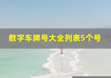 数字车牌号大全列表5个号