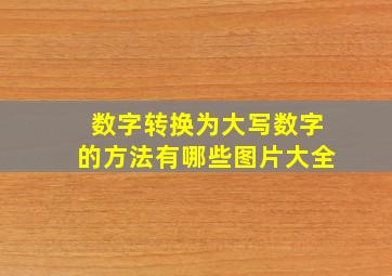 数字转换为大写数字的方法有哪些图片大全