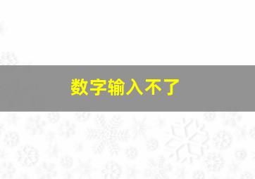 数字输入不了