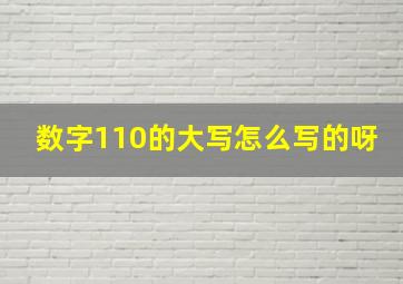 数字110的大写怎么写的呀