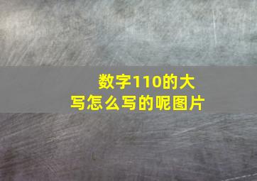 数字110的大写怎么写的呢图片