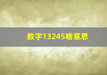 数字13245啥意思