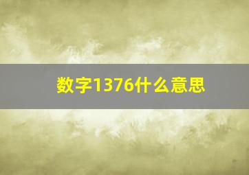 数字1376什么意思