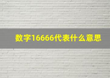 数字16666代表什么意思