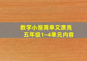 数学小报简单又漂亮五年级1~4单元内容