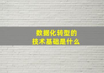 数据化转型的技术基础是什么