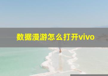 数据漫游怎么打开vivo