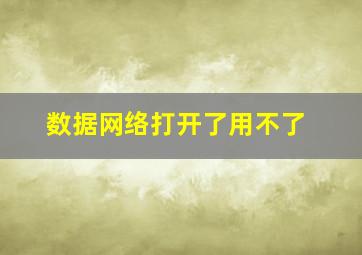 数据网络打开了用不了