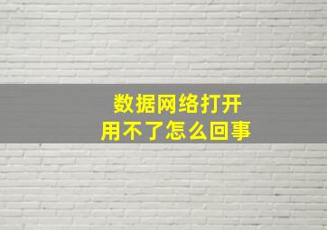 数据网络打开用不了怎么回事