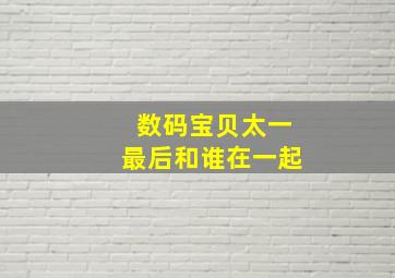 数码宝贝太一最后和谁在一起