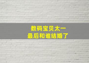 数码宝贝太一最后和谁结婚了